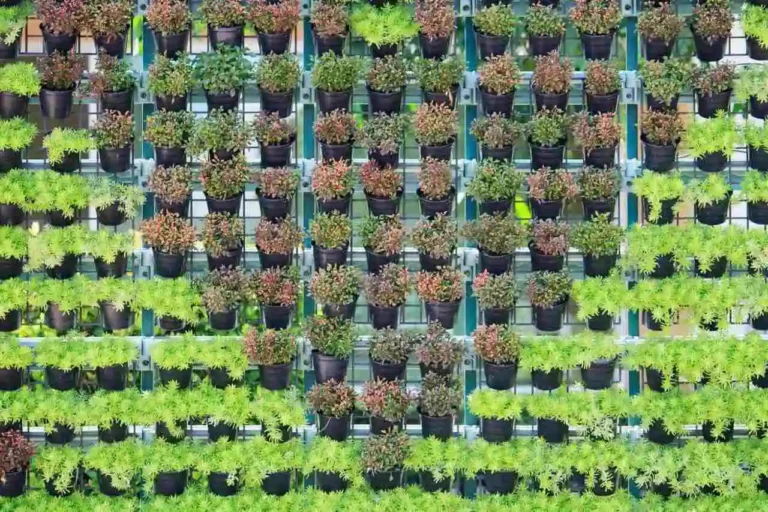 tipos de plantas para jardim vertical