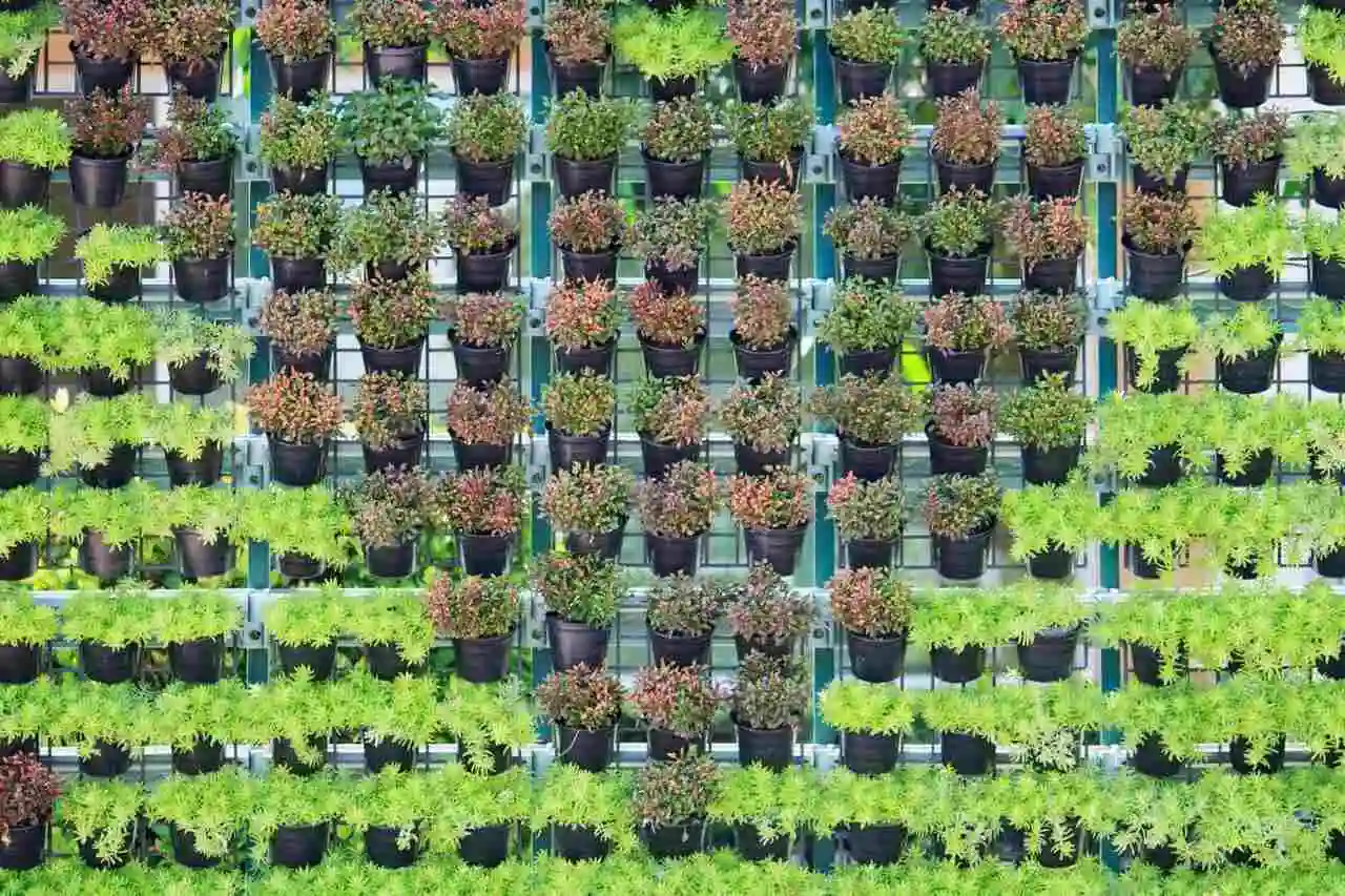 tipos de plantas para jardim vertical