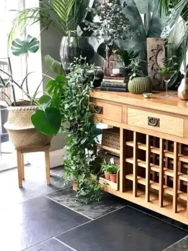 jardim dentro de casa