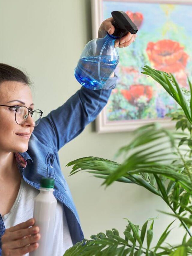 não cometa estes erros ao fertilizar suas plantas (1)