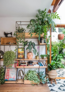 estante de madeira e metal com nichos assimétricos decorada com plantas