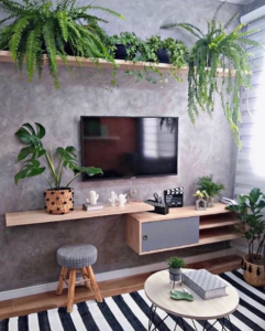 prateleira acima de tv decorada com vários vasos de plantas