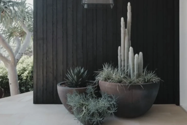 jardim pequeno com pedras e vasos