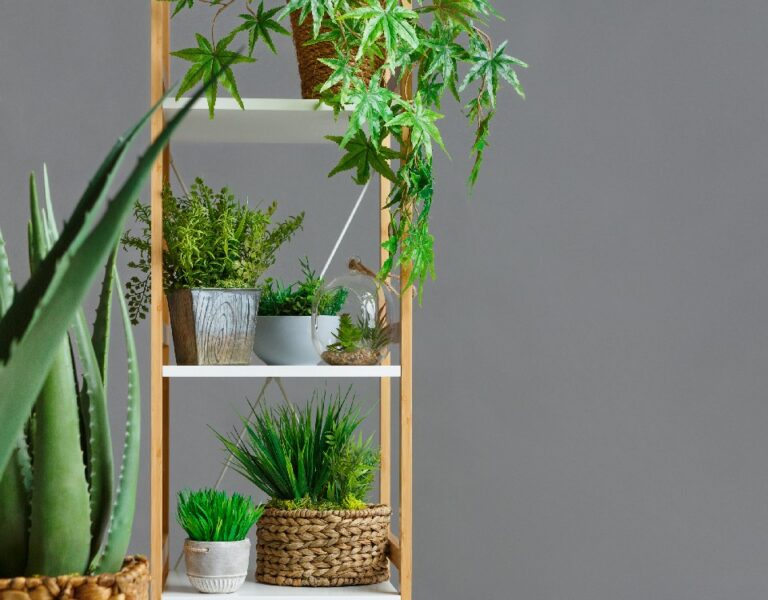 Estante Para Plantas Dentro de Casa